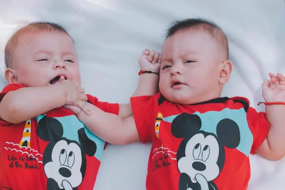 euopean baby formula twins